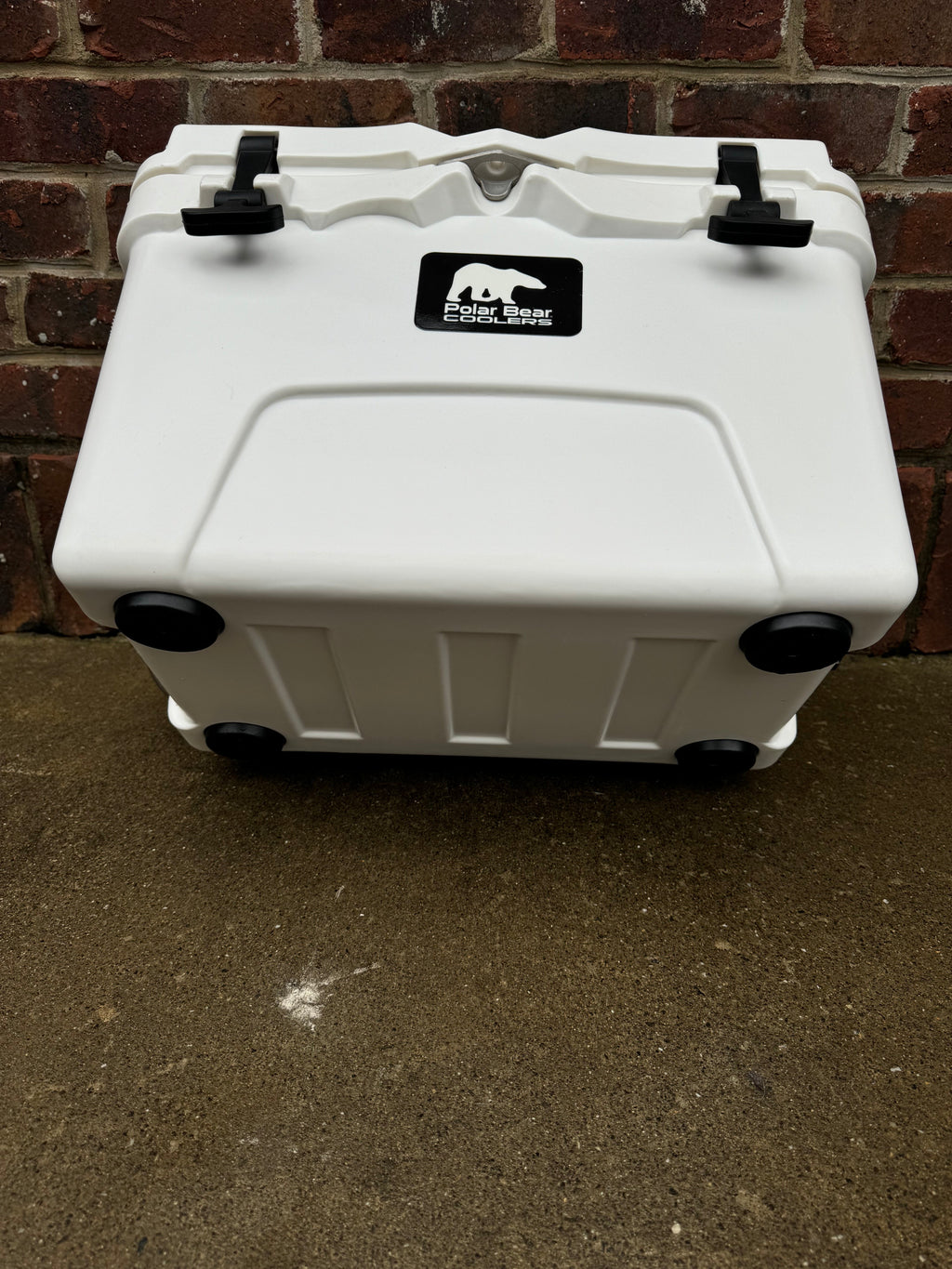 Polar Bear 20 Hard Cooler